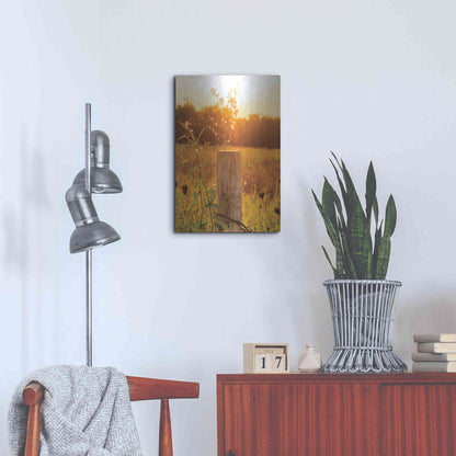 Luxe Metal Art 'Post' by Donnie Quillen Metal Wall Art,16x24