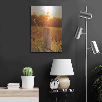 Luxe Metal Art 'Post' by Donnie Quillen Metal Wall Art,16x24