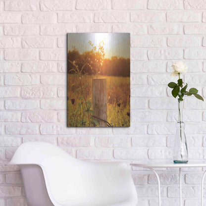 Luxe Metal Art 'Post' by Donnie Quillen Metal Wall Art,16x24