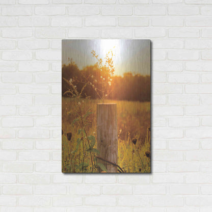 Luxe Metal Art 'Post' by Donnie Quillen Metal Wall Art,24x36