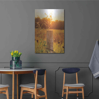 Luxe Metal Art 'Post' by Donnie Quillen Metal Wall Art,24x36