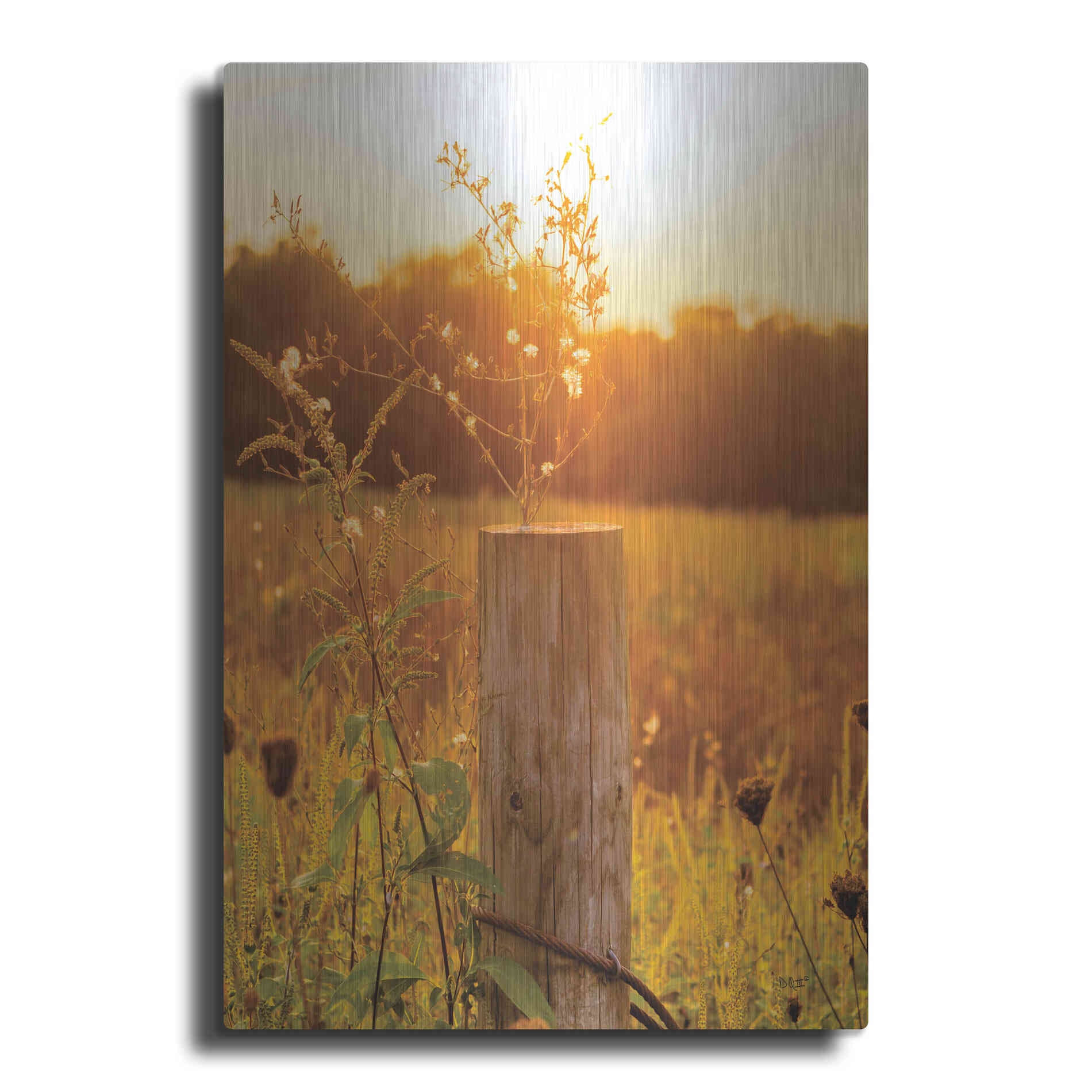 Luxe Metal Art 'Post' by Donnie Quillen Metal Wall Art