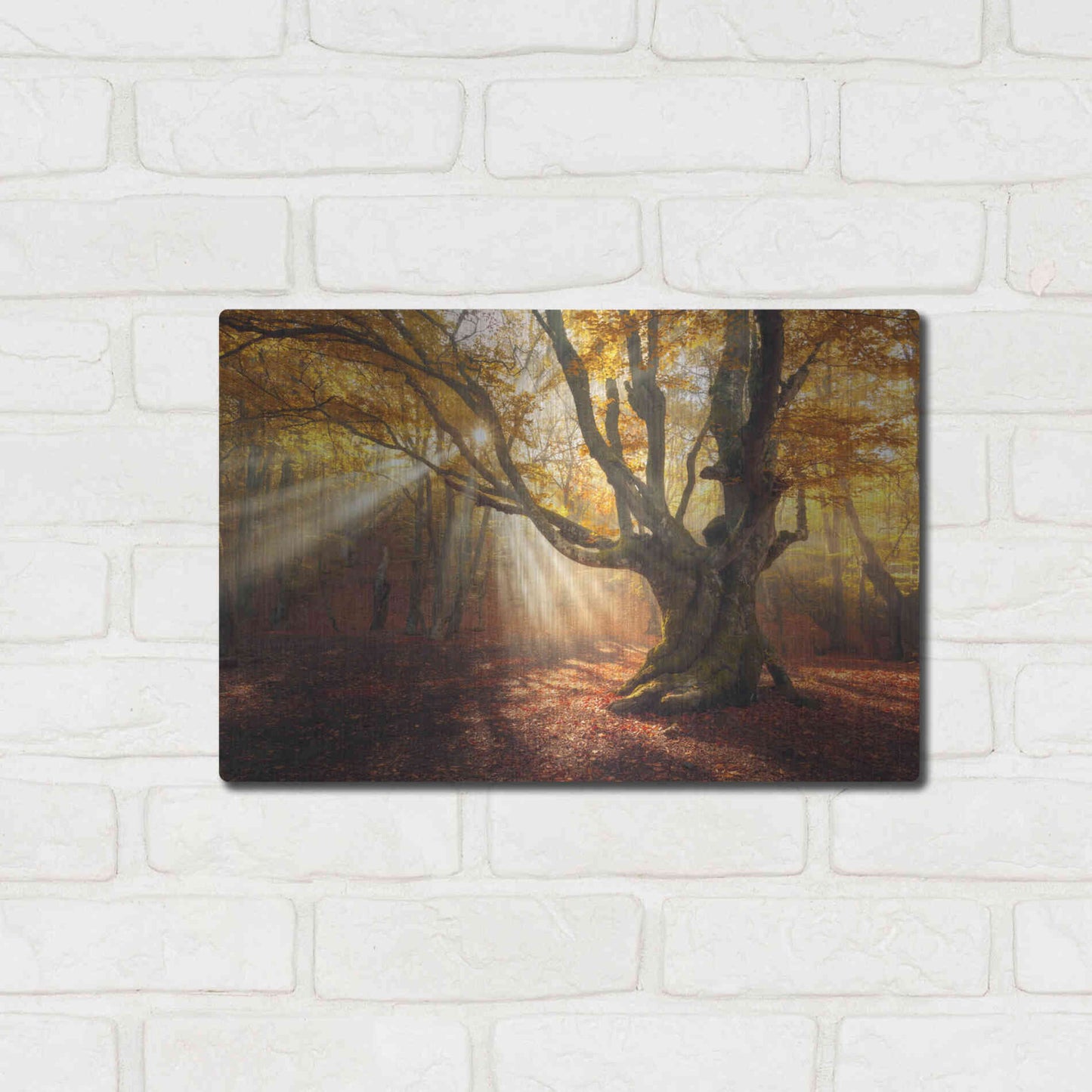 Luxe Metal Art 'Enchanted Forest' Metal Wall Art,16x12