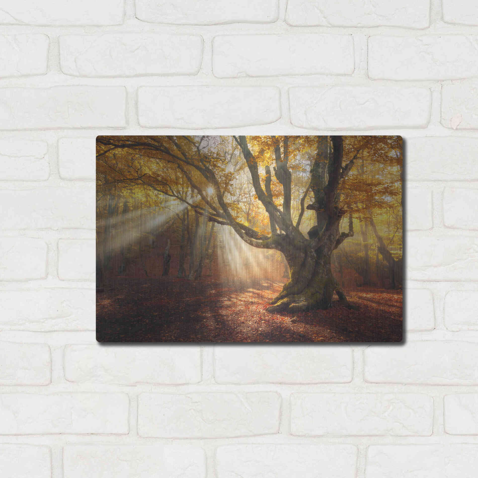 Luxe Metal Art 'Enchanted Forest' Metal Wall Art,16x12