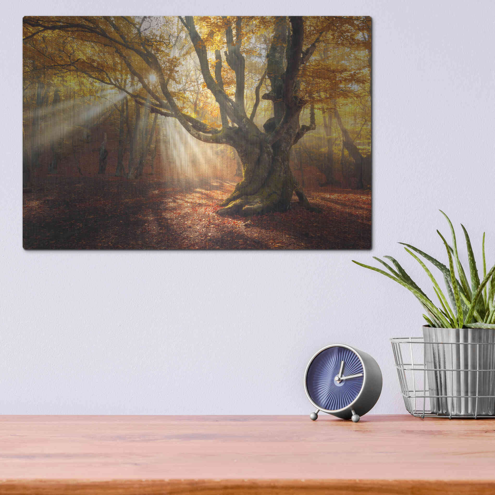 Luxe Metal Art 'Enchanted Forest' Metal Wall Art,16x12