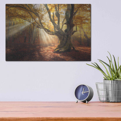 Luxe Metal Art 'Enchanted Forest' Metal Wall Art,16x12