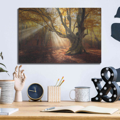 Luxe Metal Art 'Enchanted Forest' Metal Wall Art,16x12