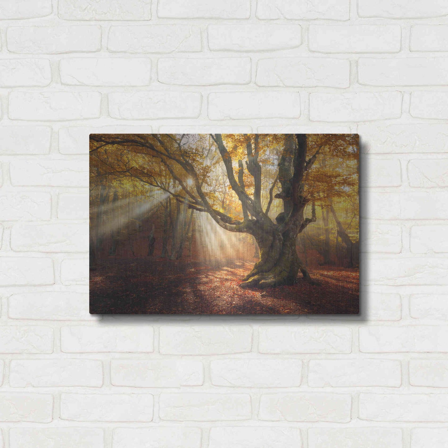 Luxe Metal Art 'Enchanted Forest' Metal Wall Art,24x16