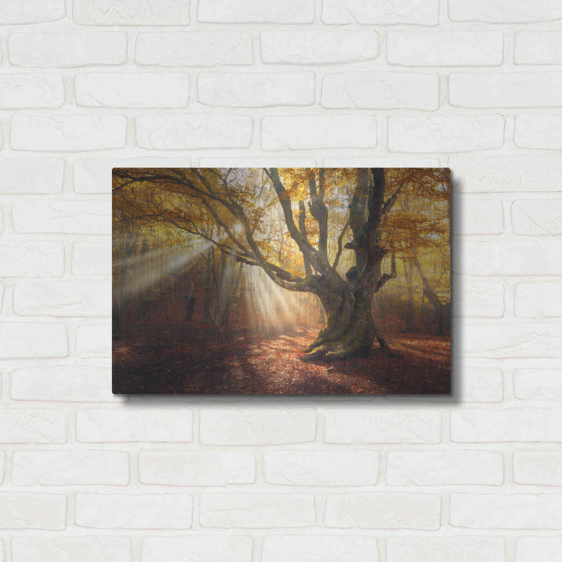 Luxe Metal Art 'Enchanted Forest' Metal Wall Art,24x16