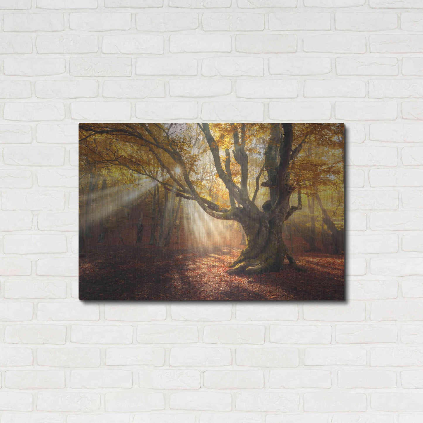 Luxe Metal Art 'Enchanted Forest' Metal Wall Art,36x24