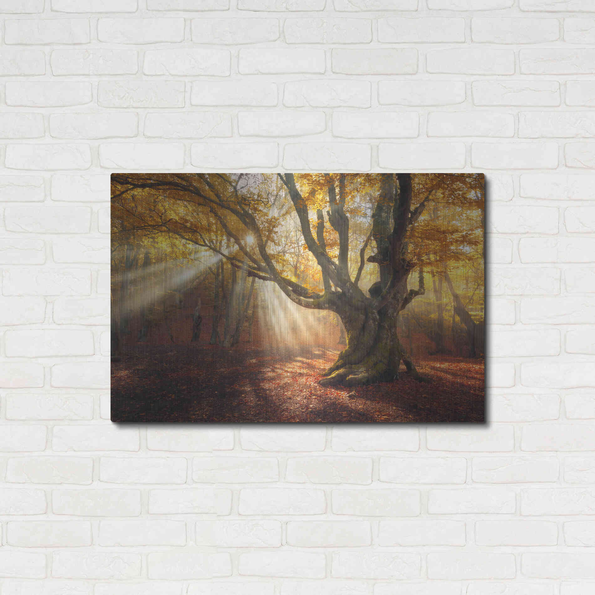 Luxe Metal Art 'Enchanted Forest' Metal Wall Art,36x24