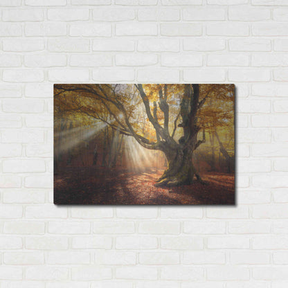 Luxe Metal Art 'Enchanted Forest' Metal Wall Art,36x24