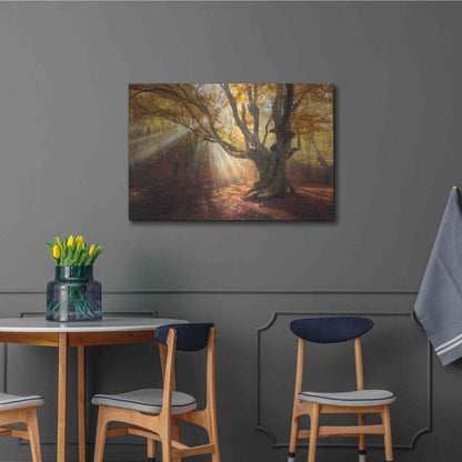 Luxe Metal Art 'Enchanted Forest' Metal Wall Art,36x24