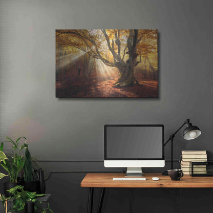 Luxe Metal Art 'Enchanted Forest' Metal Wall Art,36x24