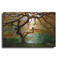 Luxe Metal Art 'Magical Autumn' Metal Wall Art