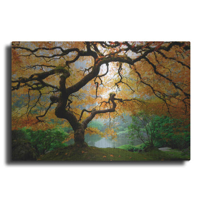 Luxe Metal Art 'Magical Autumn' Metal Wall Art