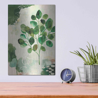 Luxe Metal Art 'Nature Story III' by Laura Horn, Metal Wall Art,12x16