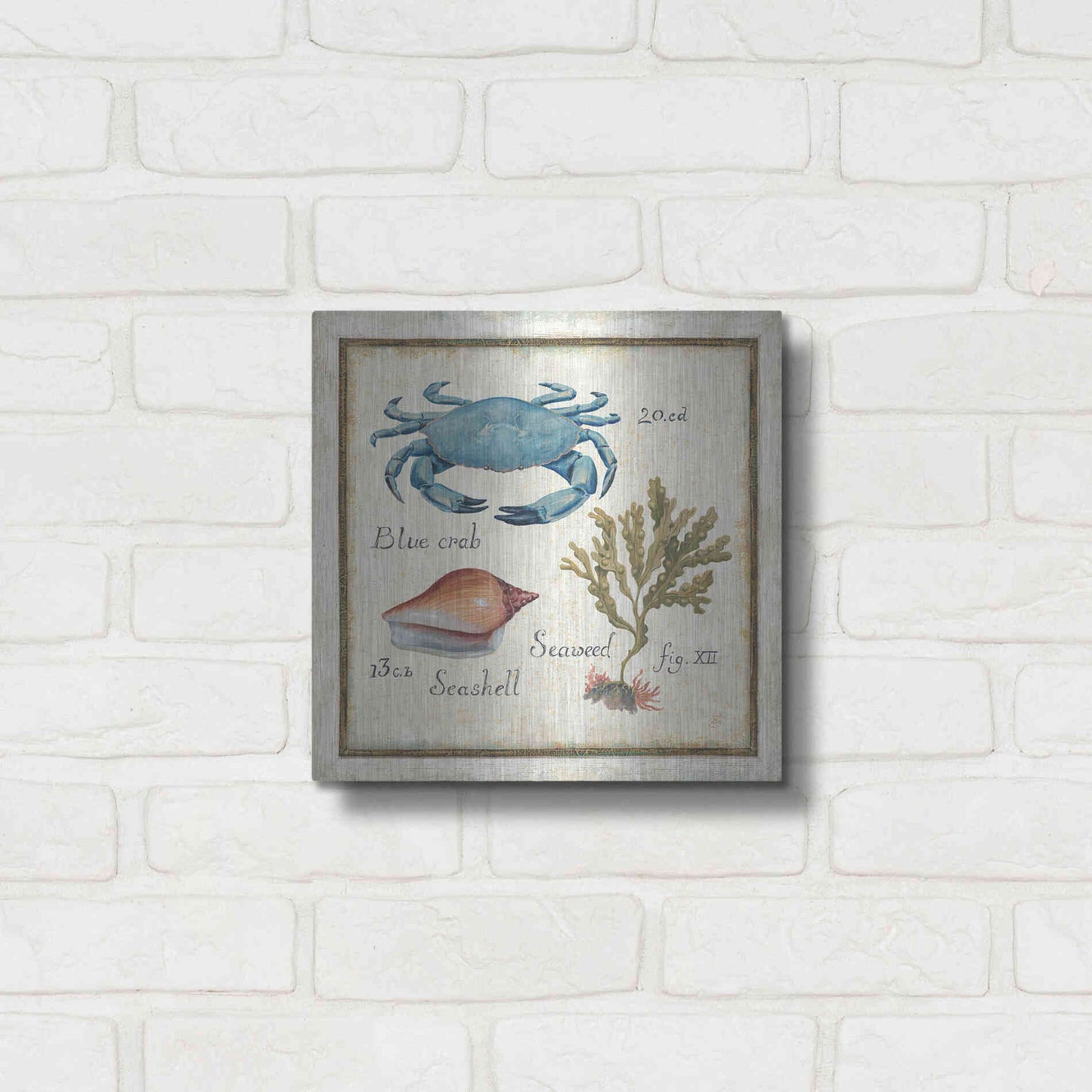 Luxe Metal Art 'Oceanography IV' by Daphne Brissonet, Metal Wall Art,12x12