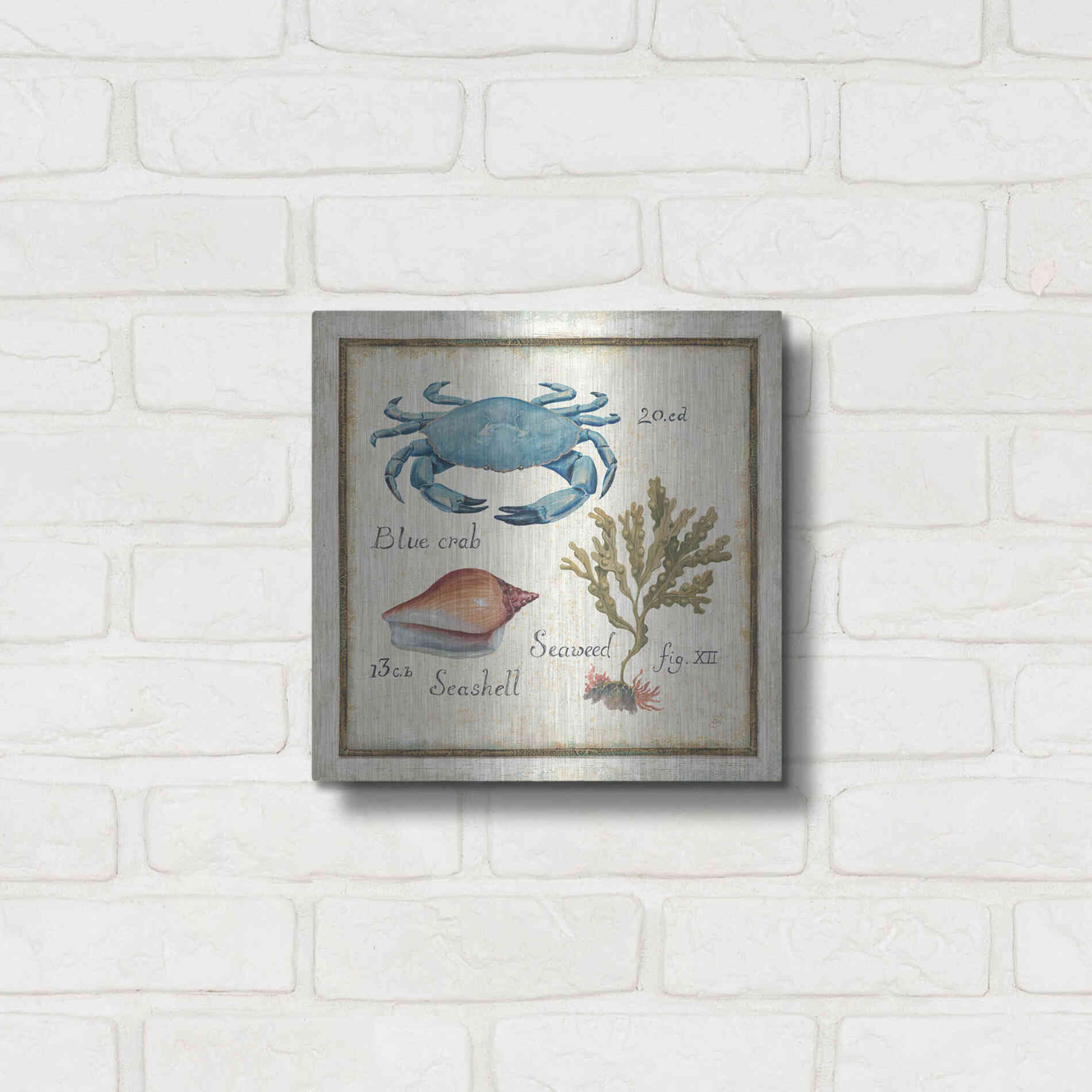 Luxe Metal Art 'Oceanography IV' by Daphne Brissonet, Metal Wall Art,12x12