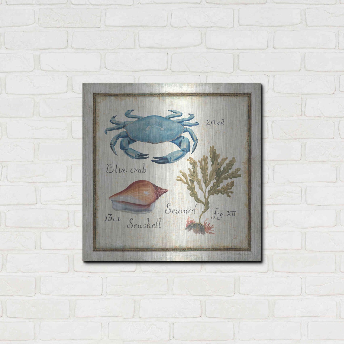 Luxe Metal Art 'Oceanography IV' by Daphne Brissonet, Metal Wall Art,24x24