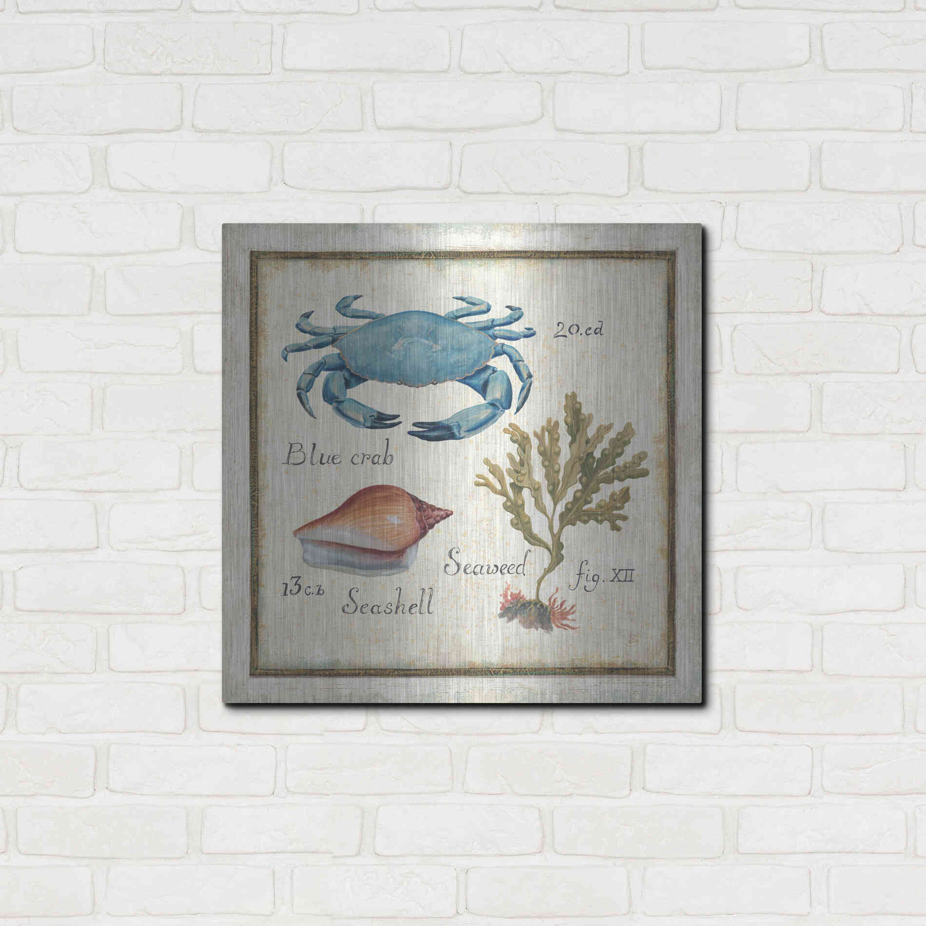 Luxe Metal Art 'Oceanography IV' by Daphne Brissonet, Metal Wall Art,24x24