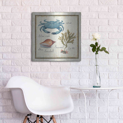 Luxe Metal Art 'Oceanography IV' by Daphne Brissonet, Metal Wall Art,24x24