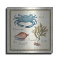 Luxe Metal Art 'Oceanography IV' by Daphne Brissonet, Metal Wall Art