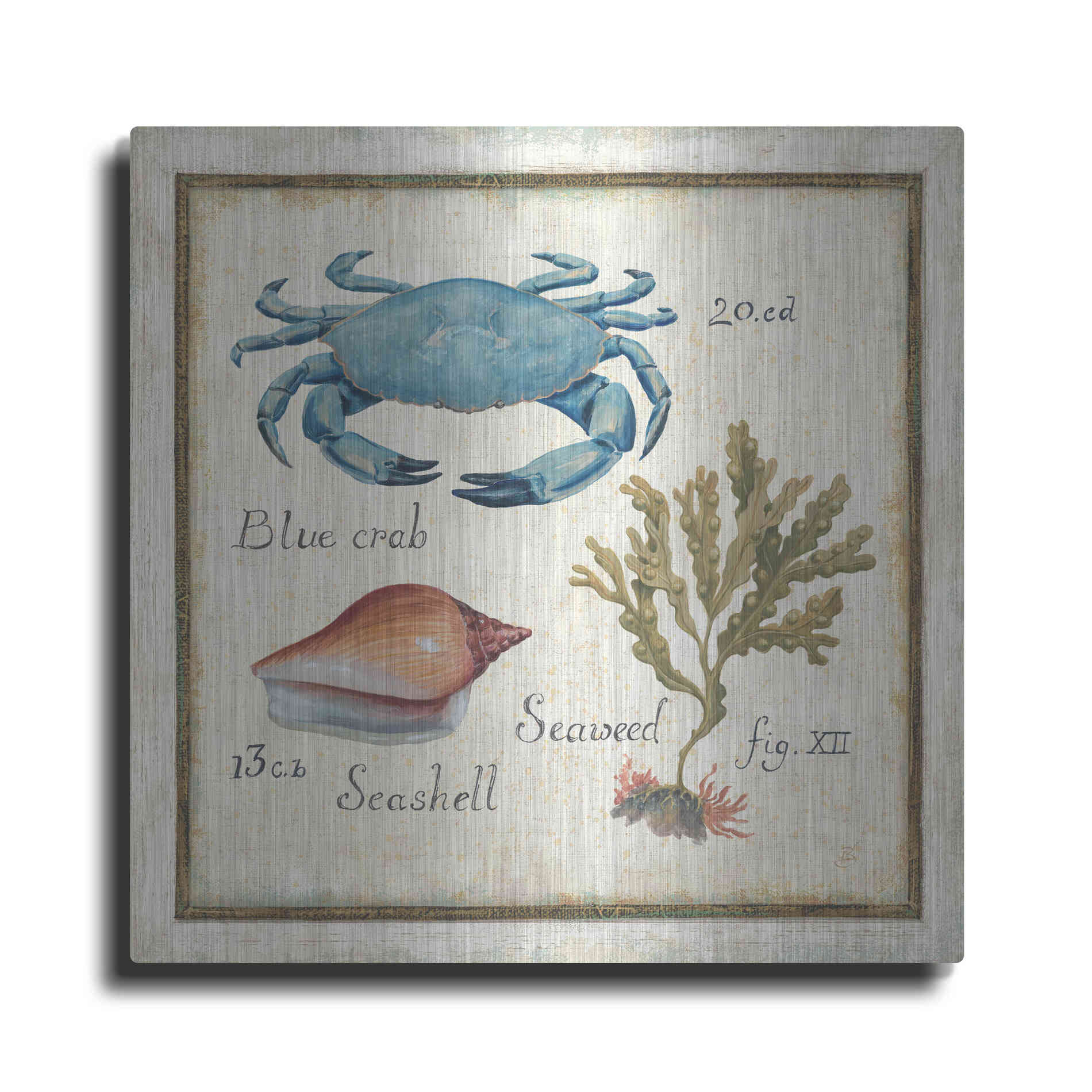 Luxe Metal Art 'Oceanography IV' by Daphne Brissonet, Metal Wall Art