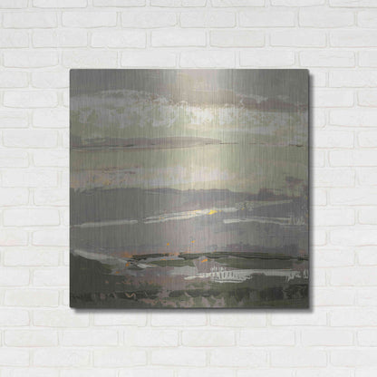 Luxe Metal Art 'Soft Day II' by Grainne Dowling, Metal Wall Art,36x36