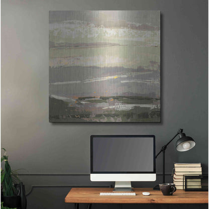Luxe Metal Art 'Soft Day II' by Grainne Dowling, Metal Wall Art,36x36