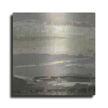 Luxe Metal Art 'Soft Day II' by Grainne Dowling, Metal Wall Art