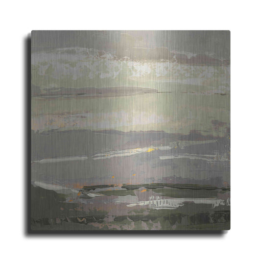Luxe Metal Art 'Soft Day II' by Grainne Dowling, Metal Wall Art