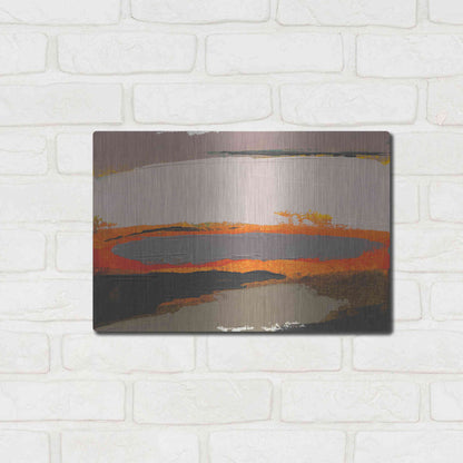 Luxe Metal Art 'Ceide Study I' by Grainne Dowling, Metal Wall Art,16x12