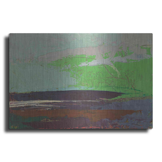 Luxe Metal Art 'Ceide Study XIII' by Grainne Dowling, Metal Wall Art