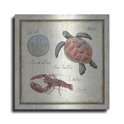 Luxe Metal Art 'Oceanography II' by Daphne Brissonet, Metal Wall Art