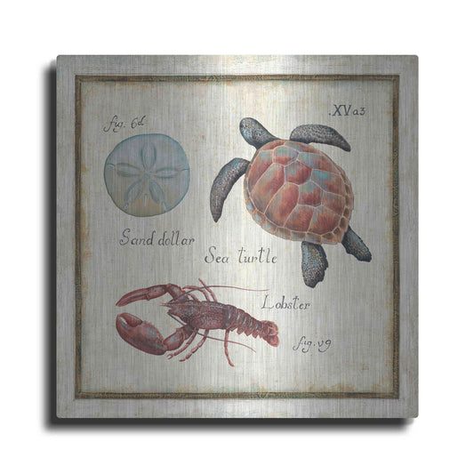 Luxe Metal Art 'Oceanography II' by Daphne Brissonet, Metal Wall Art