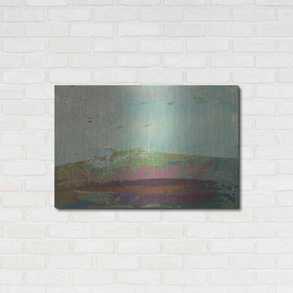 Luxe Metal Art 'Ceide Study XV' by Grainne Dowling, Metal Wall Art,36x24