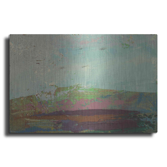 Luxe Metal Art 'Ceide Study XV' by Grainne Dowling, Metal Wall Art