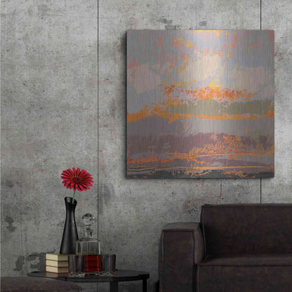 Luxe Metal Art 'Soft Day III' by Grainne Dowling, Metal Wall Art,36x36