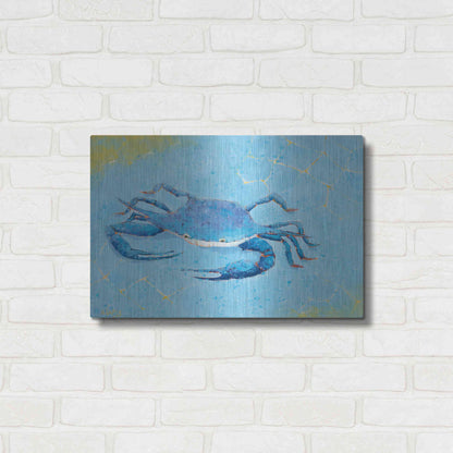 Luxe Metal Art 'Blue Crab V' by Phyllis Adams, Metal Wall Art,24x16