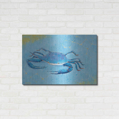 Luxe Metal Art 'Blue Crab V' by Phyllis Adams, Metal Wall Art,36x24