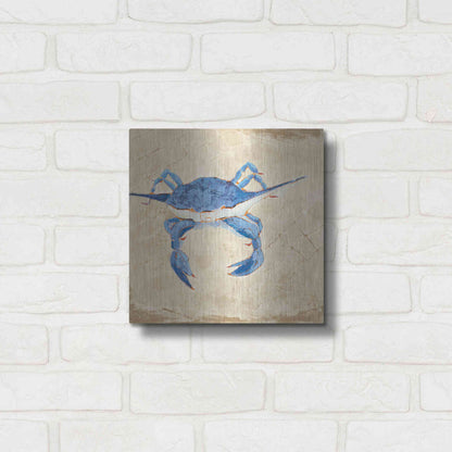 Luxe Metal Art 'Blue Crab VI Neutral' by Phyllis Adams, Metal Wall Art,12x12