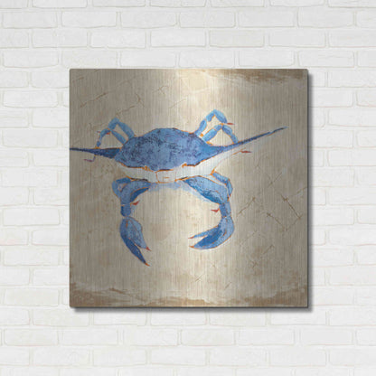 Luxe Metal Art 'Blue Crab VI Neutral' by Phyllis Adams, Metal Wall Art,36x36