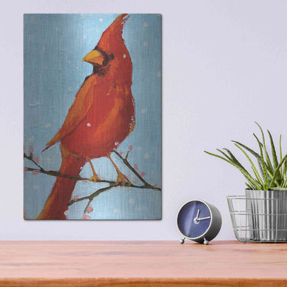Luxe Metal Art 'Cardinal II' by Phyllis Adams, Metal Wall Art,12x16