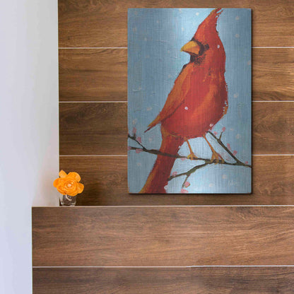Luxe Metal Art 'Cardinal II' by Phyllis Adams, Metal Wall Art,12x16