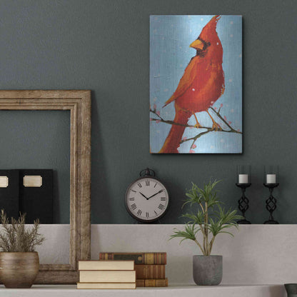 Luxe Metal Art 'Cardinal II' by Phyllis Adams, Metal Wall Art,12x16