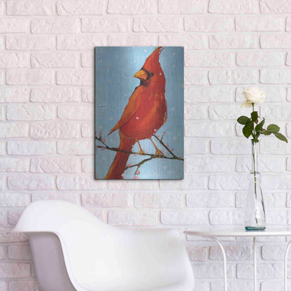 Luxe Metal Art 'Cardinal II' by Phyllis Adams, Metal Wall Art,16x24