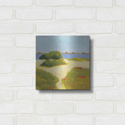 Luxe Metal Art 'Path to the Beach' by Phyllis Adams, Metal Wall Art,12x12