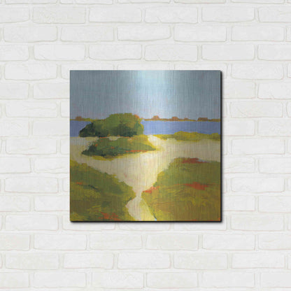 Luxe Metal Art 'Path to the Beach' by Phyllis Adams, Metal Wall Art,24x24