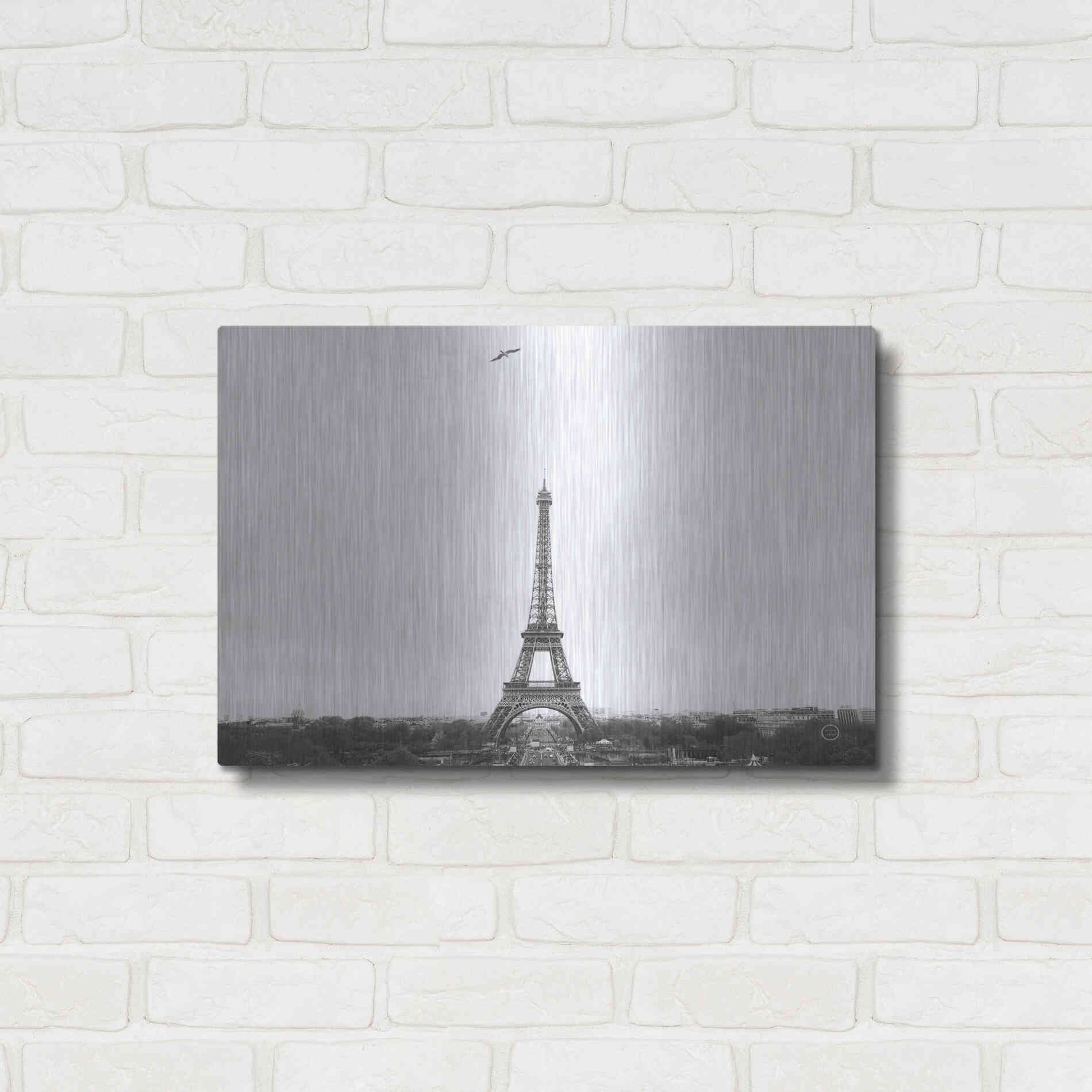 Luxe Metal Art 'A Birds View of Paris' by Nathan Larson, Metal Wall Art,24x16